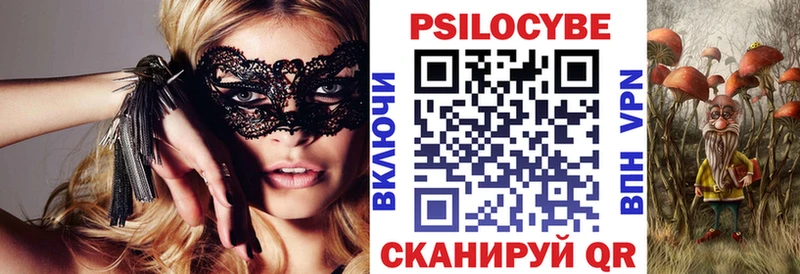 Псилоцибиновые грибы Cubensis  Калининск 